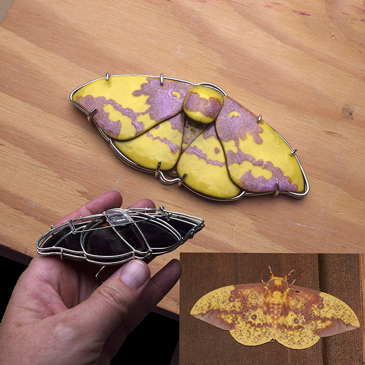 Imperial Moth