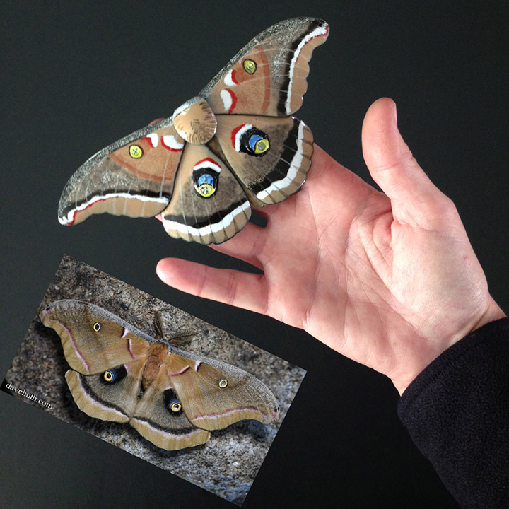 Polyphemus