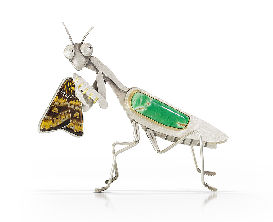 Praying Mantis Captures Moth